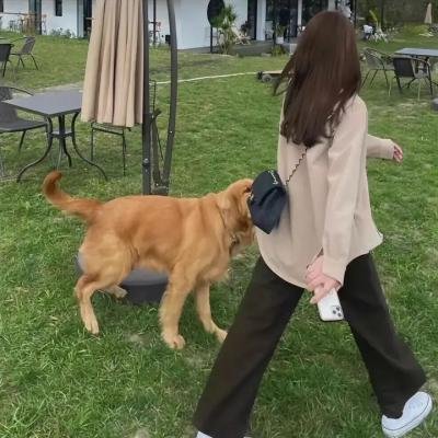 迷粉爱墙